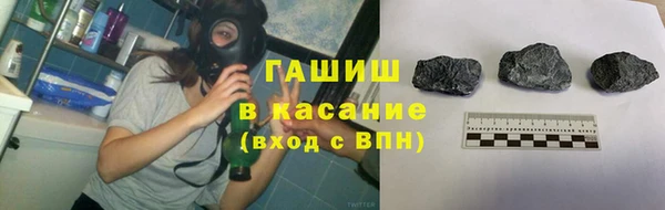 гидра Карпинск