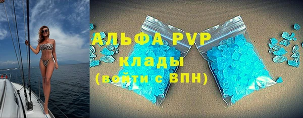 дживик Касимов